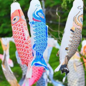 明世町｜市民から寄付された約160匹の鯉が空を泳ぎます｜瑞浪市こいのぼり祭り