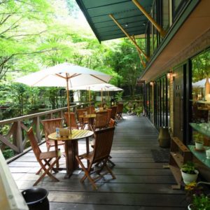 日吉町｜鬼岩公演 呂久沢の森に佇む、素敵なカフェレストラン｜Ryo-an（了庵）  様